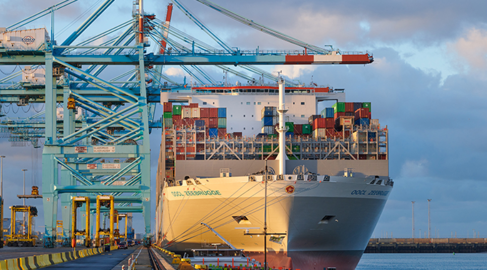 2026年航運(yùn)市場(chǎng)走勢(shì)分析